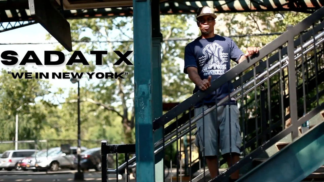 Sadat X - We In New York (Video)